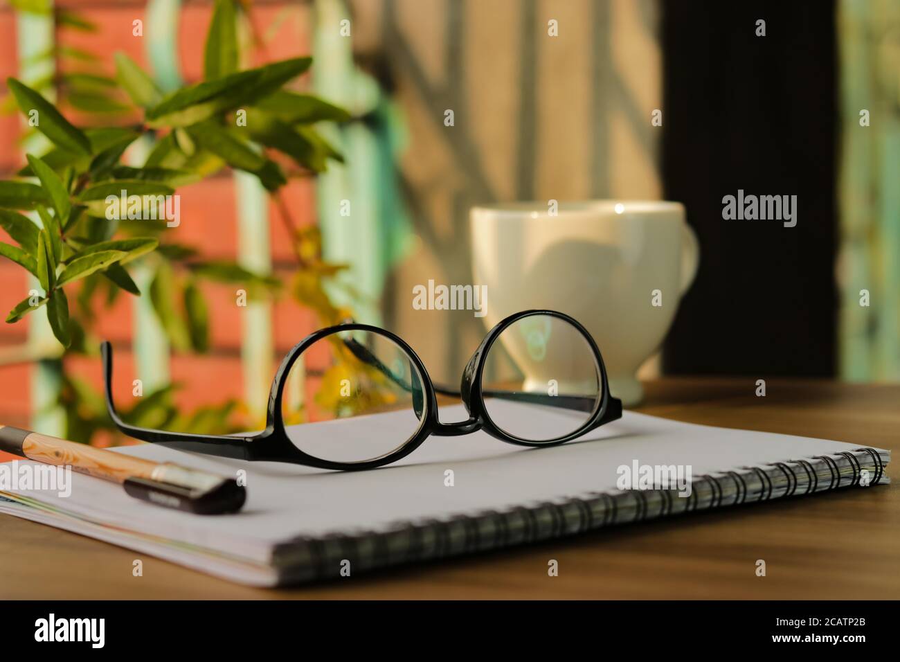 Eyeglasses on a notebook, with natural view. Stock Photo