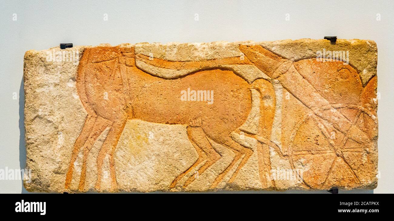 Exhibition 'The animal kingdom in Ancient Egypt', organized in 2015 by the Louvre Museum in Lens. Chariotry scene, amarnian period, sandstone. Stock Photo