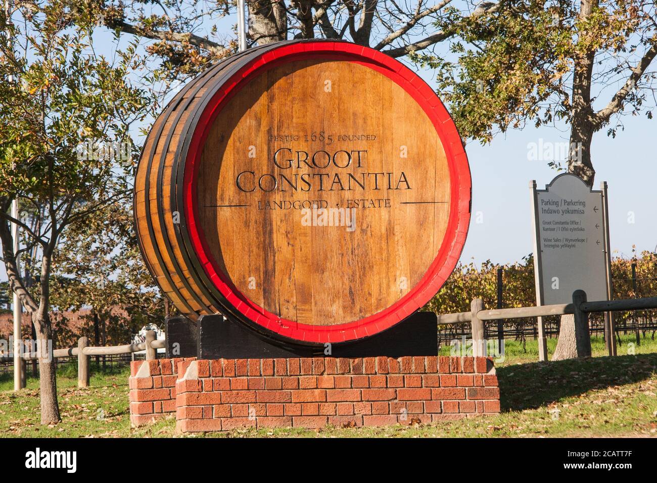 groot constantia wine sales