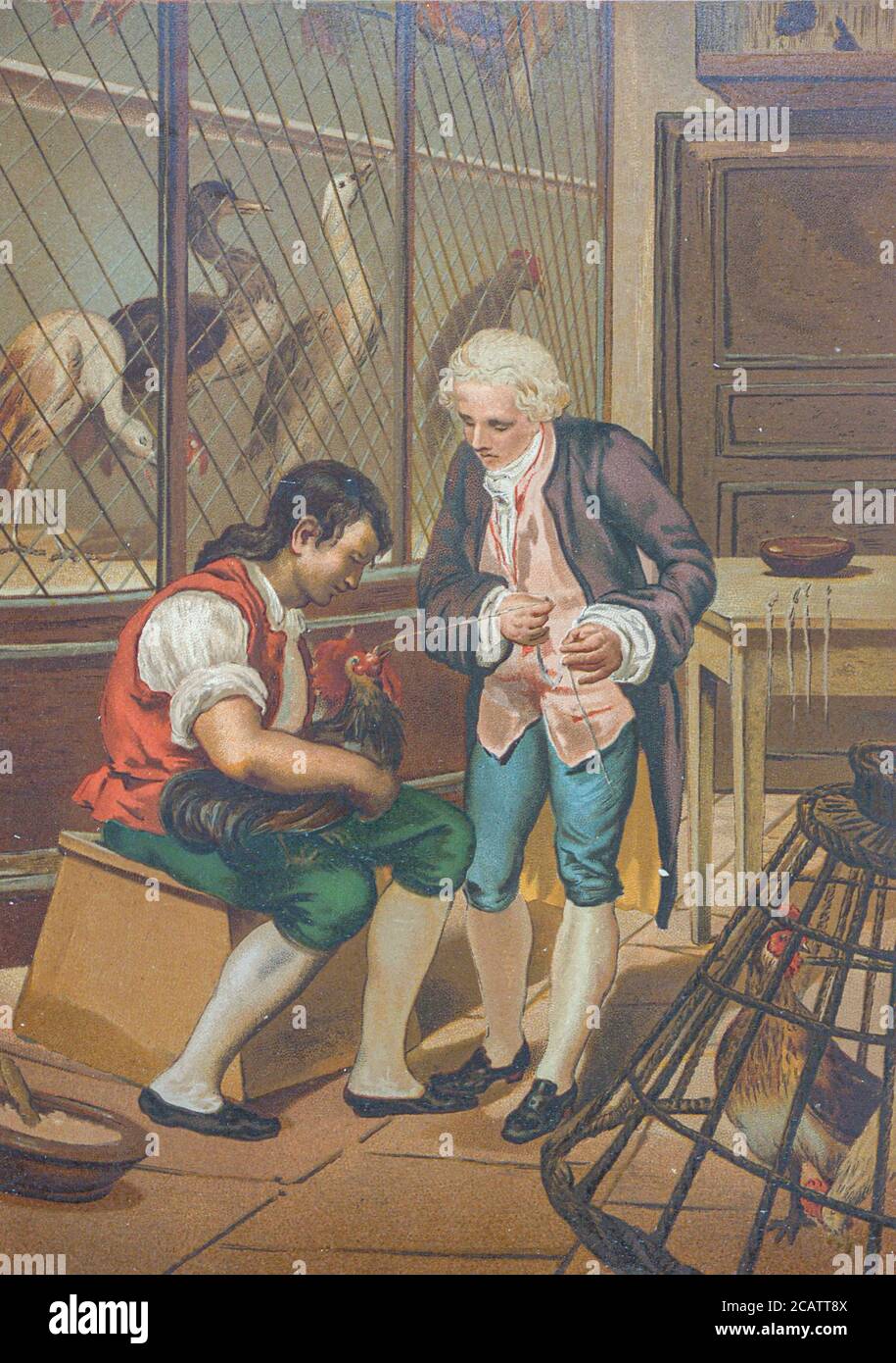 image not described image