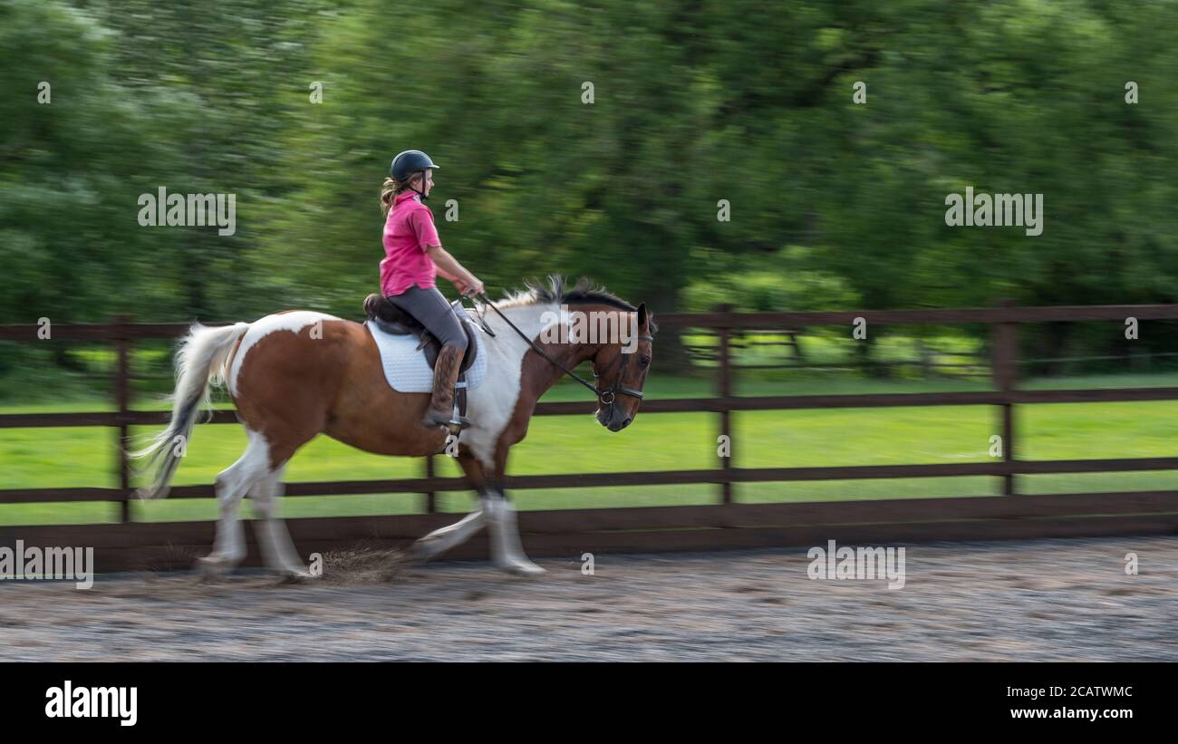 Riding a horse at speed in the menage. Stock Photo