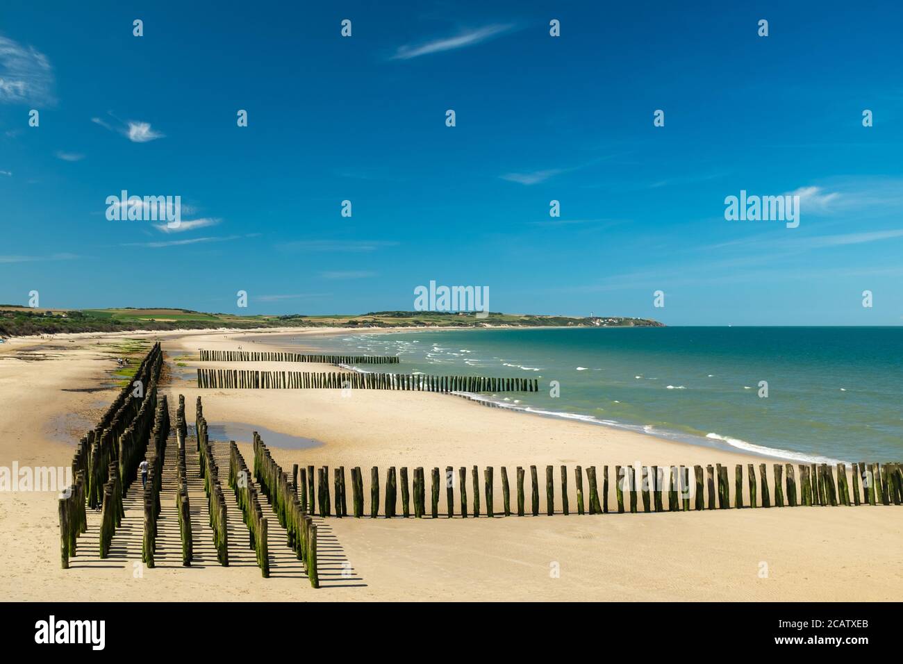 Mussel poles on the beach of Wissant on the Opal Coast in France Stock  Photo - Alamy