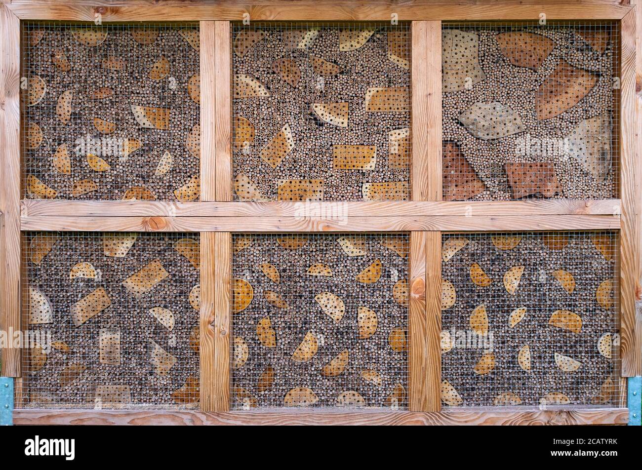 Insect hotel background Stock Photo