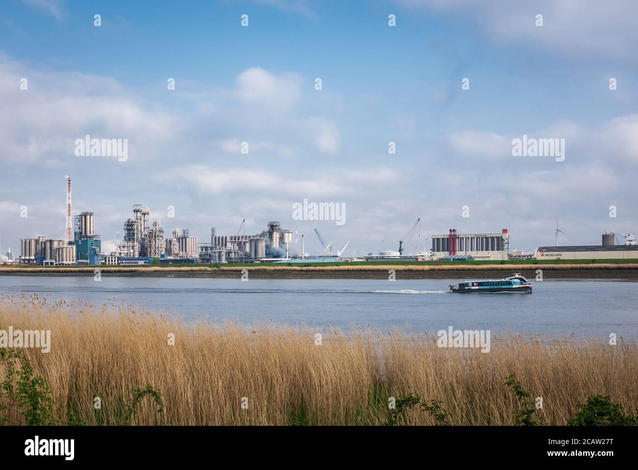 Public transport 'Waterbus' with the majestic plant of Total Polymers Antwerp in the background. Stock Photo