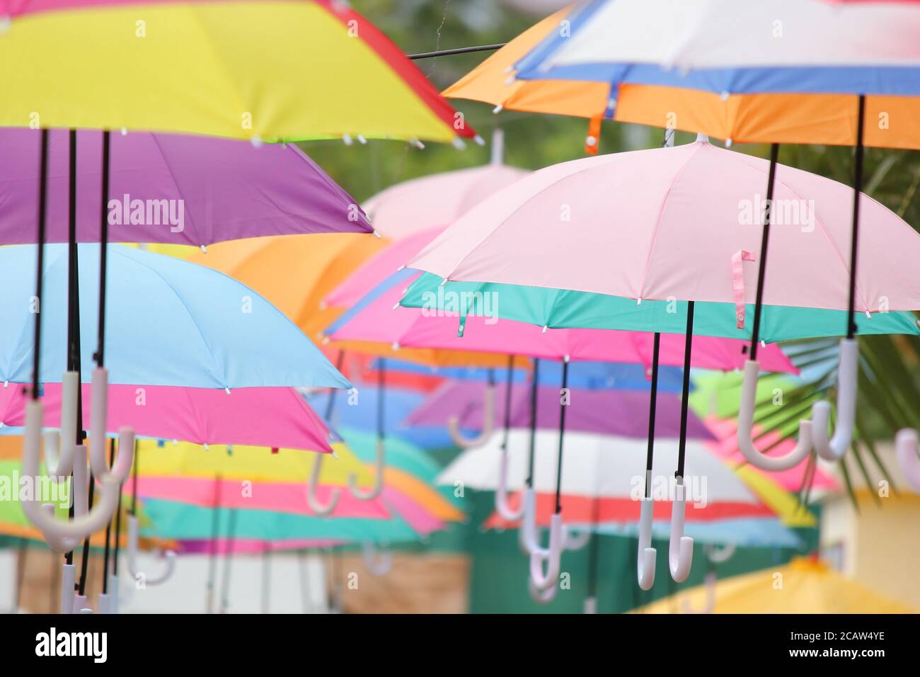 colorful umbrella street decoration as background Stock Photo Alamy