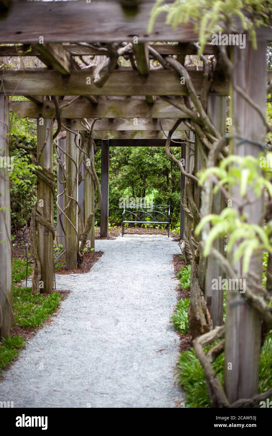 Vertical shot of a beautiful pathway decorated with green plants Stock ...