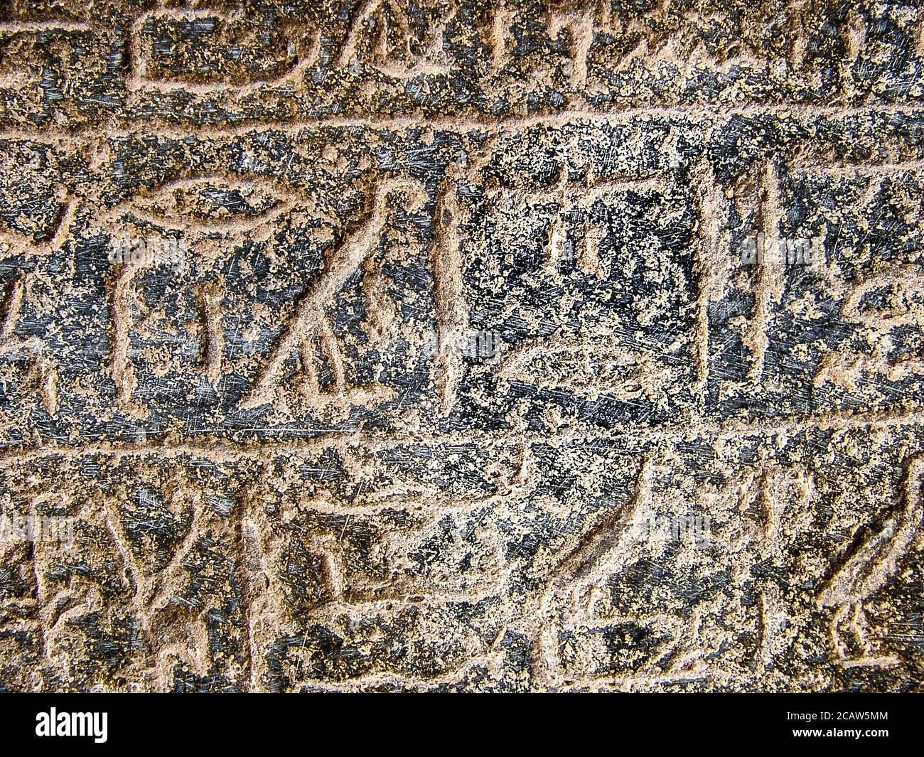 Egypt, Luxor, temple of Merenptah, cast of the stele of Merenptah : The first mention of Israel. Stock Photo