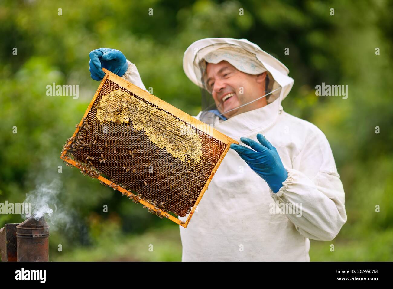 Beekeeper at apiary Stock Photo