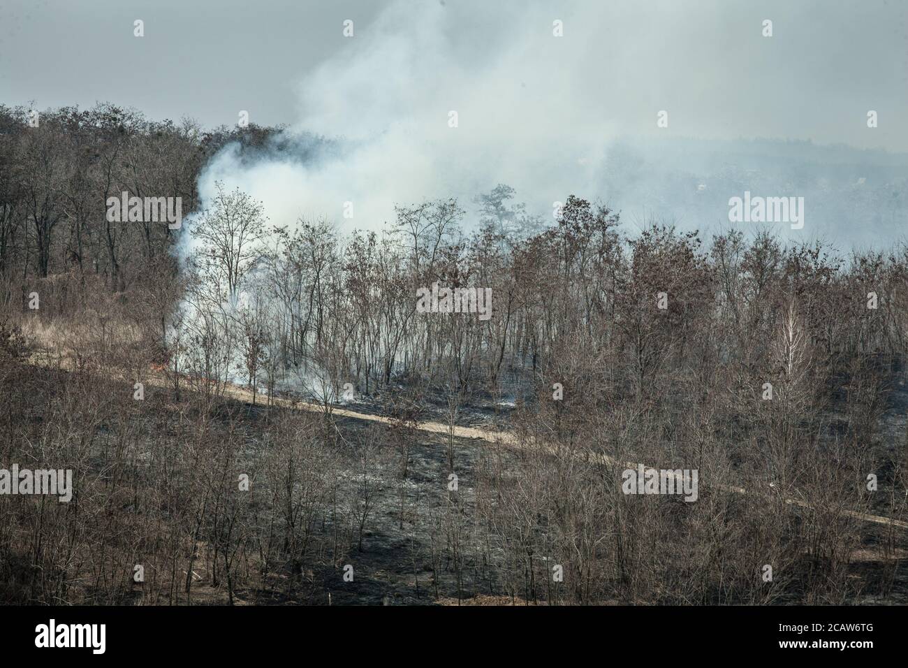 Deforestation scene smoke in hi-res stock photography and images - Alamy