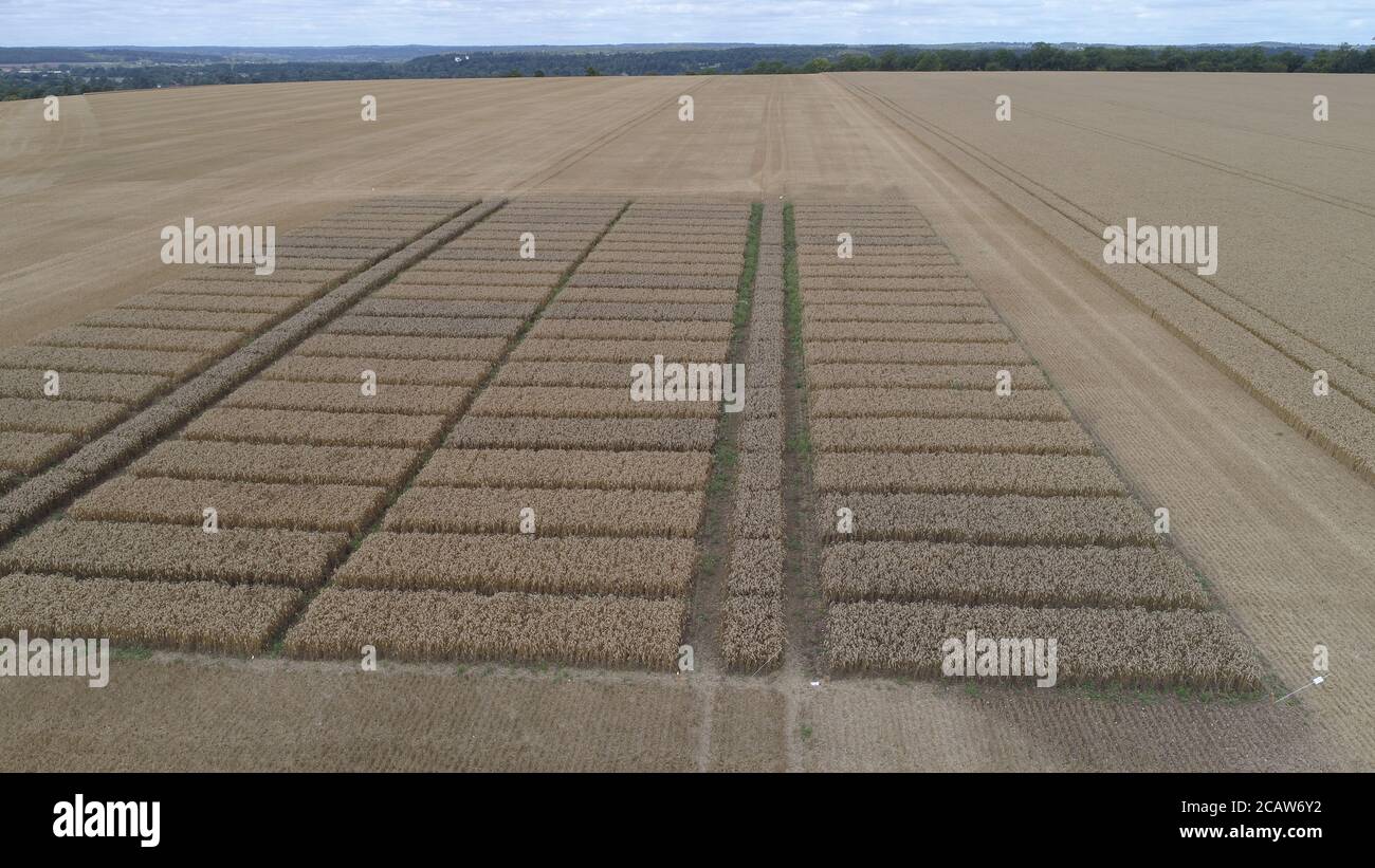 Farm fields at harvest time hi-res stock photography and images - Alamy