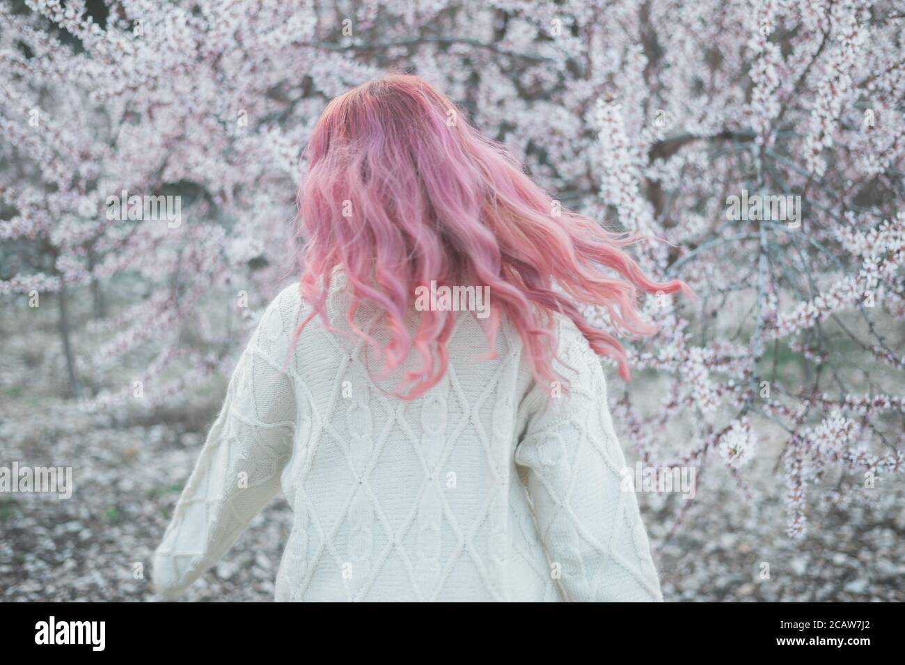 Pink hair female dancing spring blooming trees Stock Photo