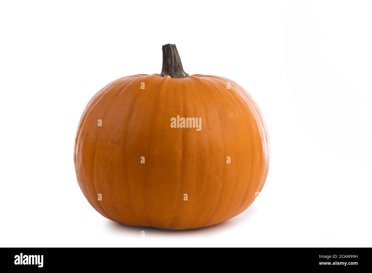 One big orange pumpkin isolated on white background Stock Photo - Alamy