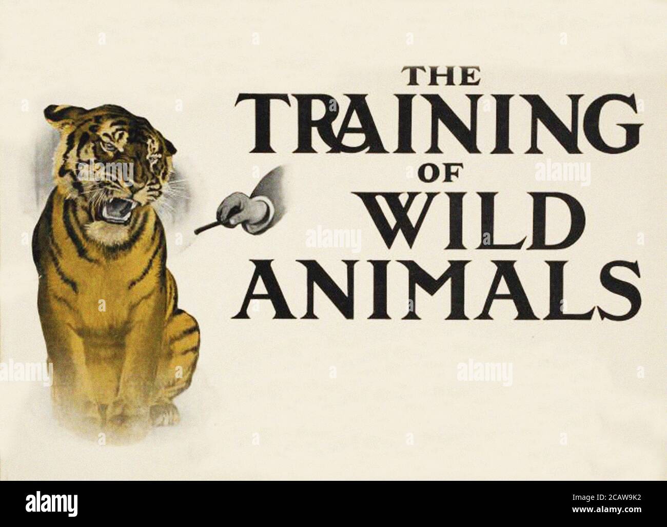 vintage animal illustration vintage classical artistic drawing Stock Photo Alamy