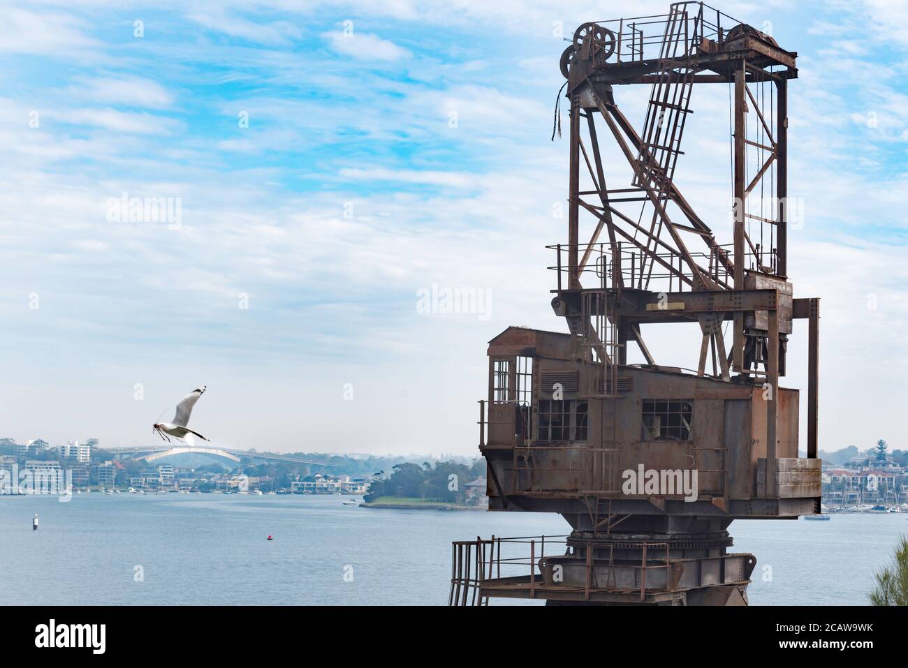 A nesting seagull flies past an large old disused dockyard crane on Cockatoo Island Dockyard in Sydney Harbour, New South Wales, Australia Stock Photo