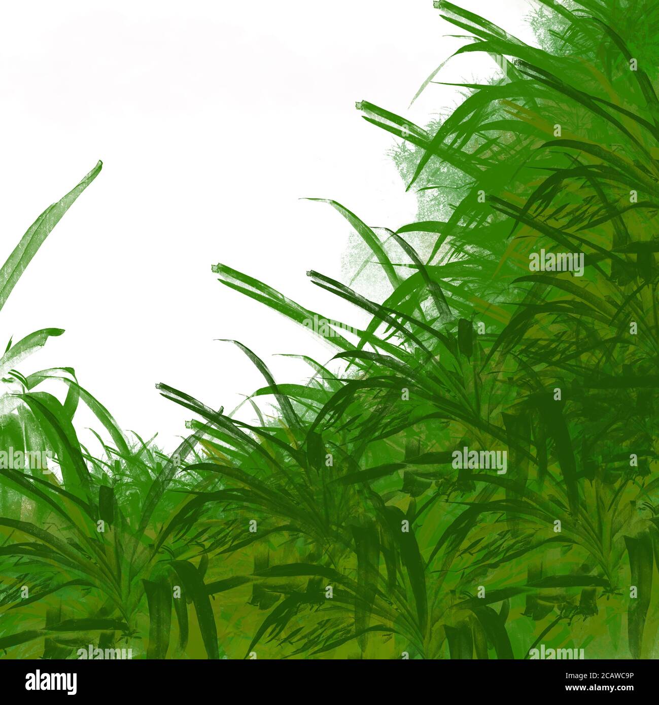 Illustration of green grass and white background with copy space Stock ...