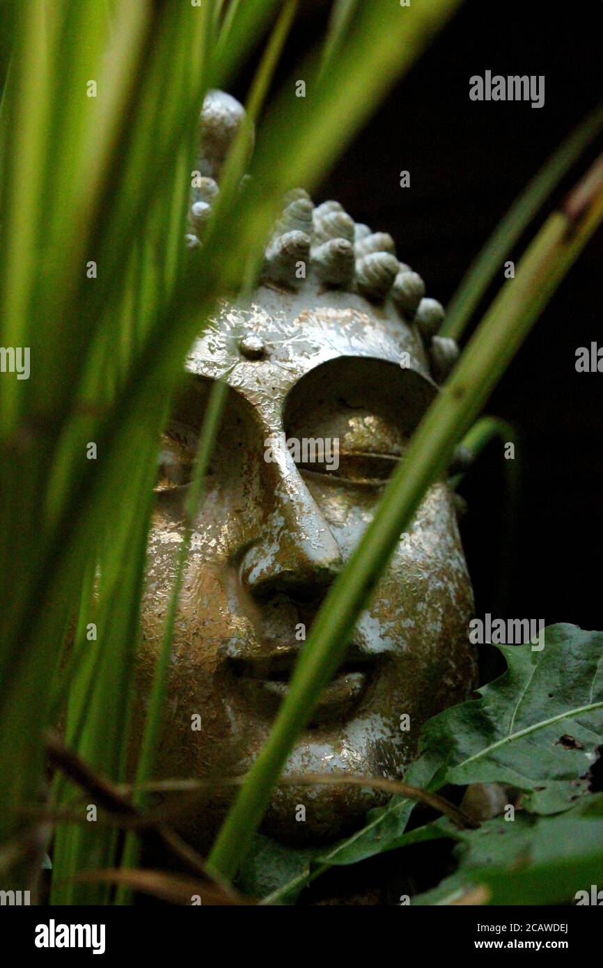 Buddha through greenery Stock Photo