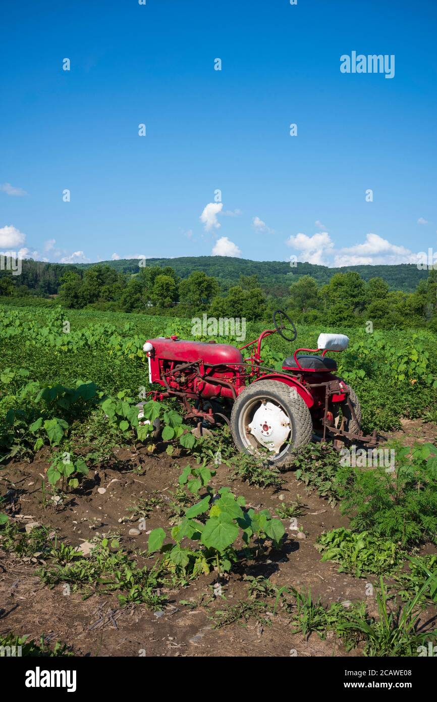 Vintage farm equipment rests hi-res stock photography and images - Alamy