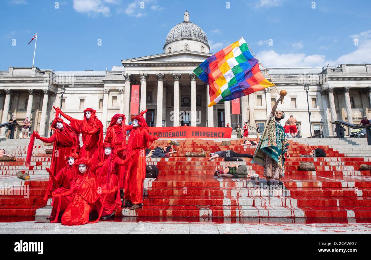 Extinction Rebellion pour dye down the steps near the National Gallery in Trafalgar Square, London, during a protest in solidarity with indigenous communities in Brazil who are dying from Covid-19. Stock Photo