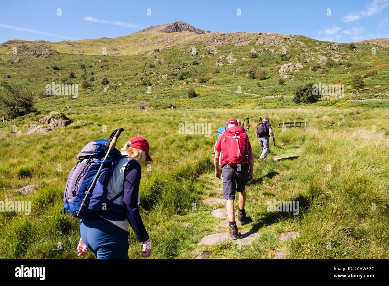 Hikers hiking on path up Moel Hebog mountain in mountains of Snowdonia National Park. Beddgelert, Gwynedd, Wales, UK, Britain Stock Photo