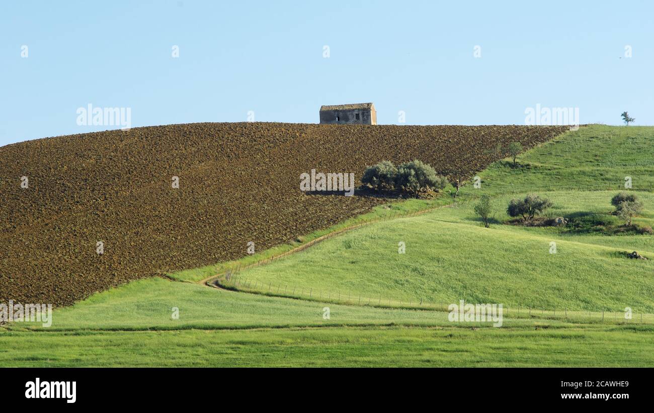 nature minimal landscape of Sicily agriculture, plowed field, meadow