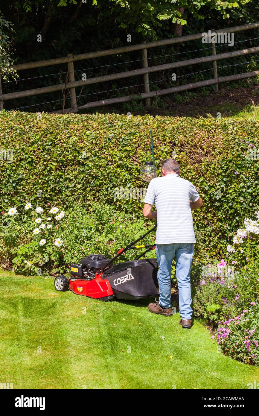 Man mowing a lawn with a rotary lawn mower in an English cottage garden
