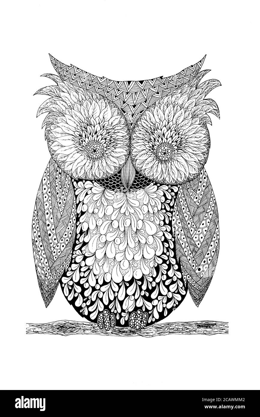 Original Artwork by Dbee Robinson. Doodle representation of an Owl in black line with white background. Stock Photo