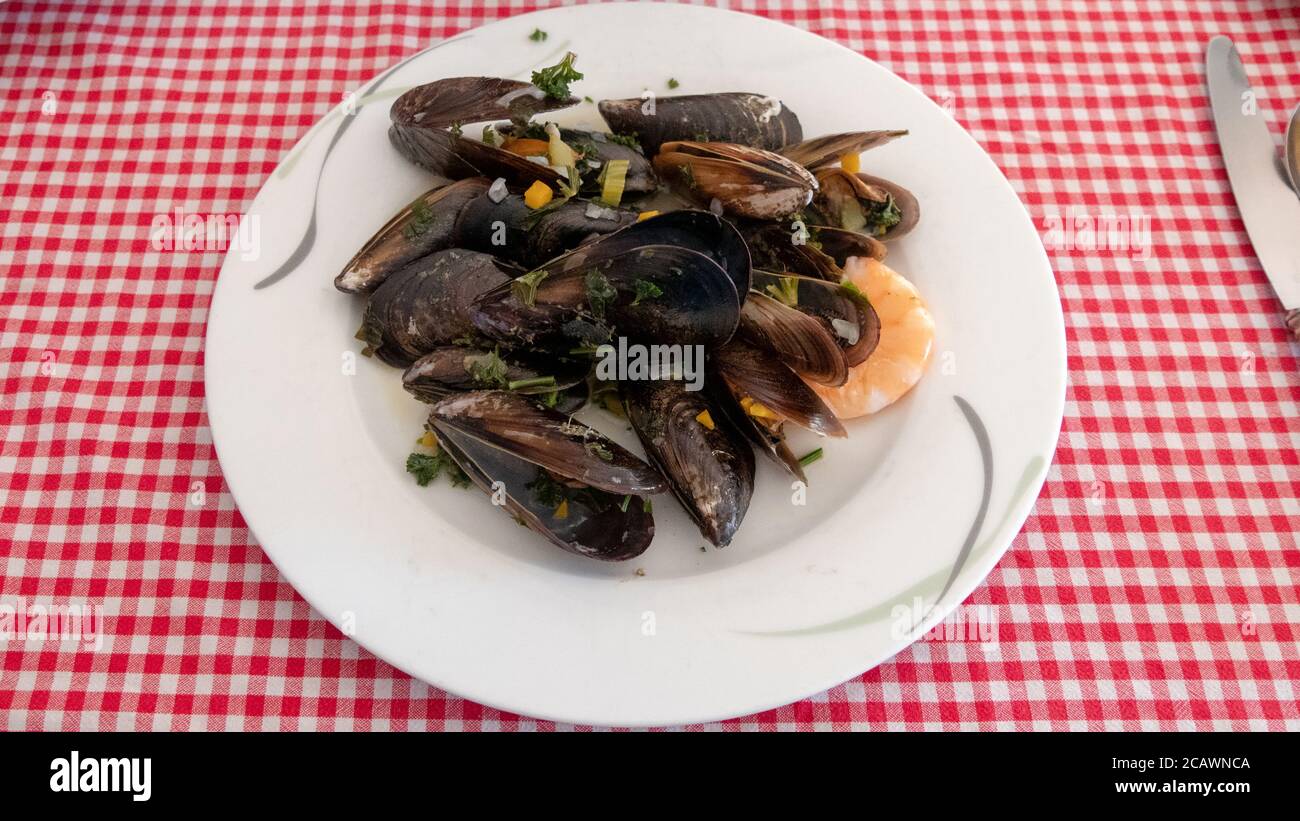 Cooked mussels in the plate Stock Photo
