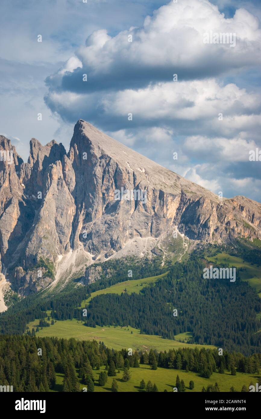 Sasso Piatto – Plattkofel peak in summer seen from Alpe di Siusi - Seiser Alm, Dolomites, Trentino Alto Adige, South Tyrol, Italy Stock Photo