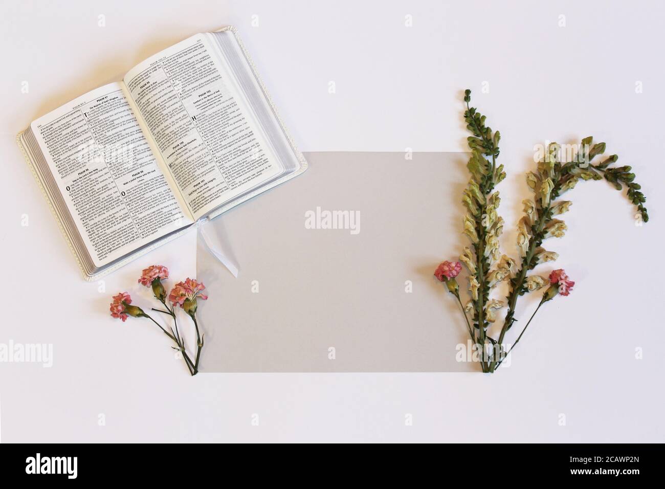 Top View Of Dry Flowers And An Open Book On The Table Under The Lights Stock Photo Alamy