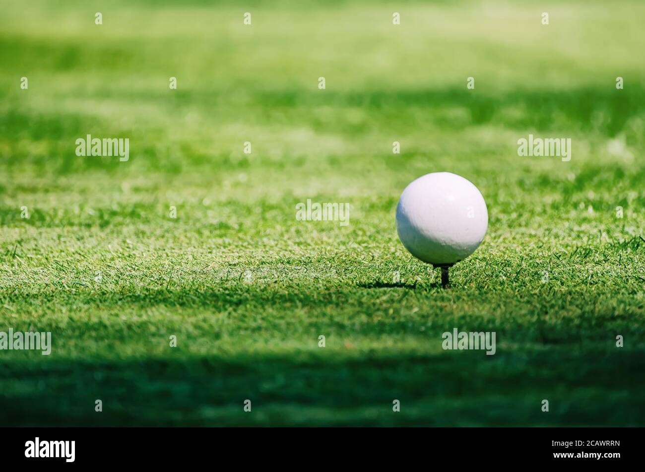 Golf ball on the green lawn background, sunny natural sport image. Competition, achivement and