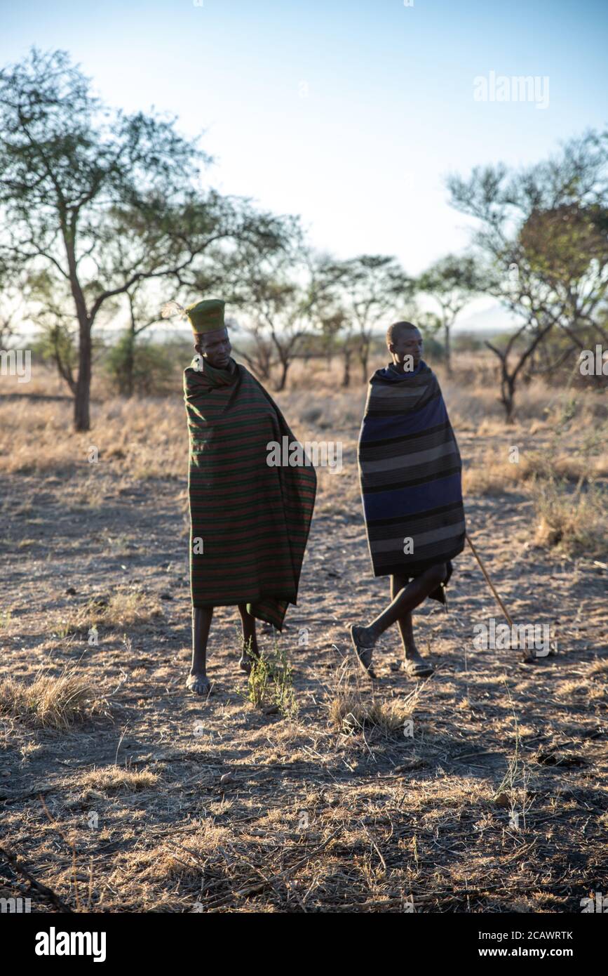 Two Karamojong cattle herder standing in the savannah with traditional