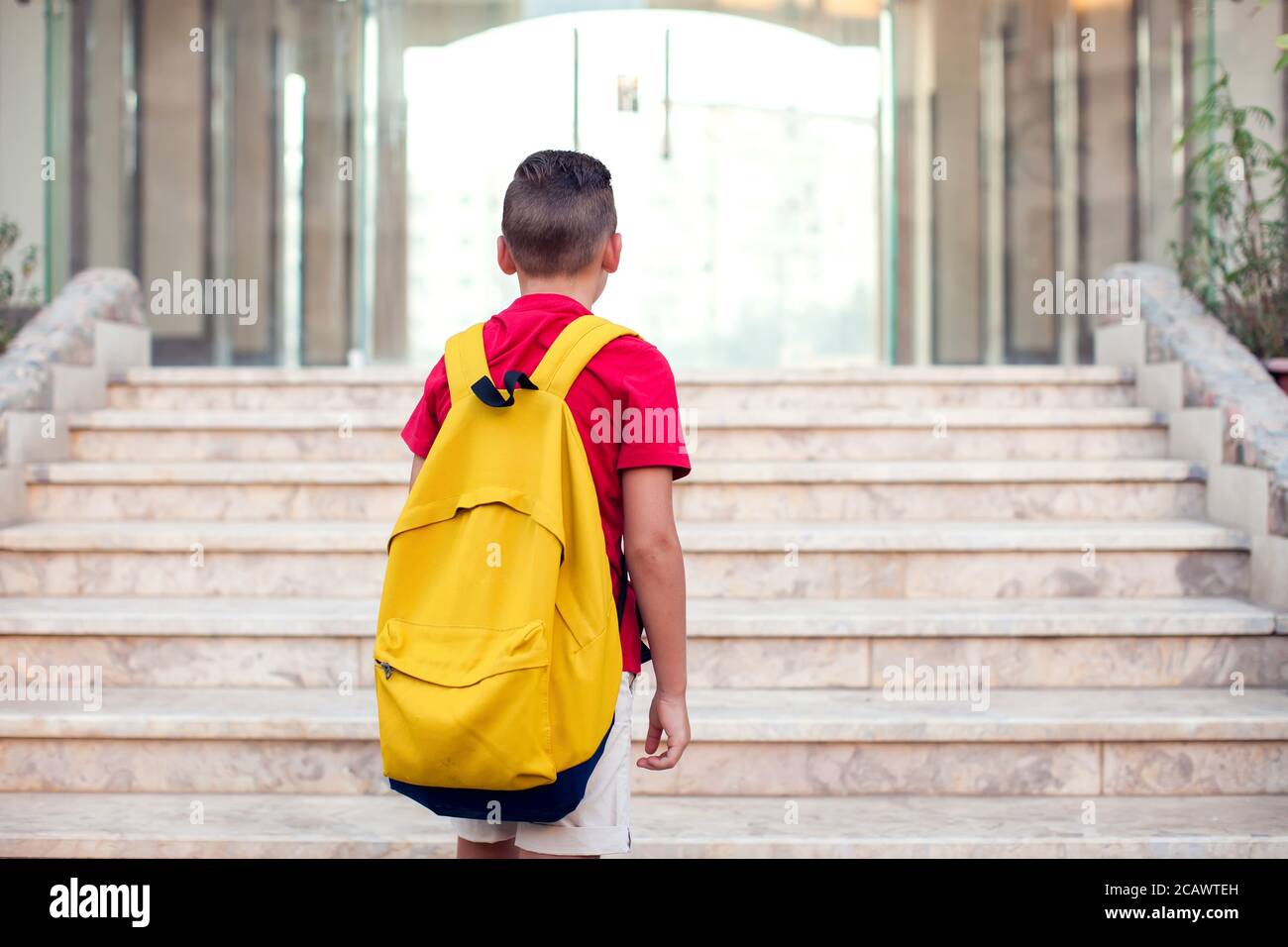 Back to school. Pupil boy with backpack going to school. Childhood and education concept Stock Photo