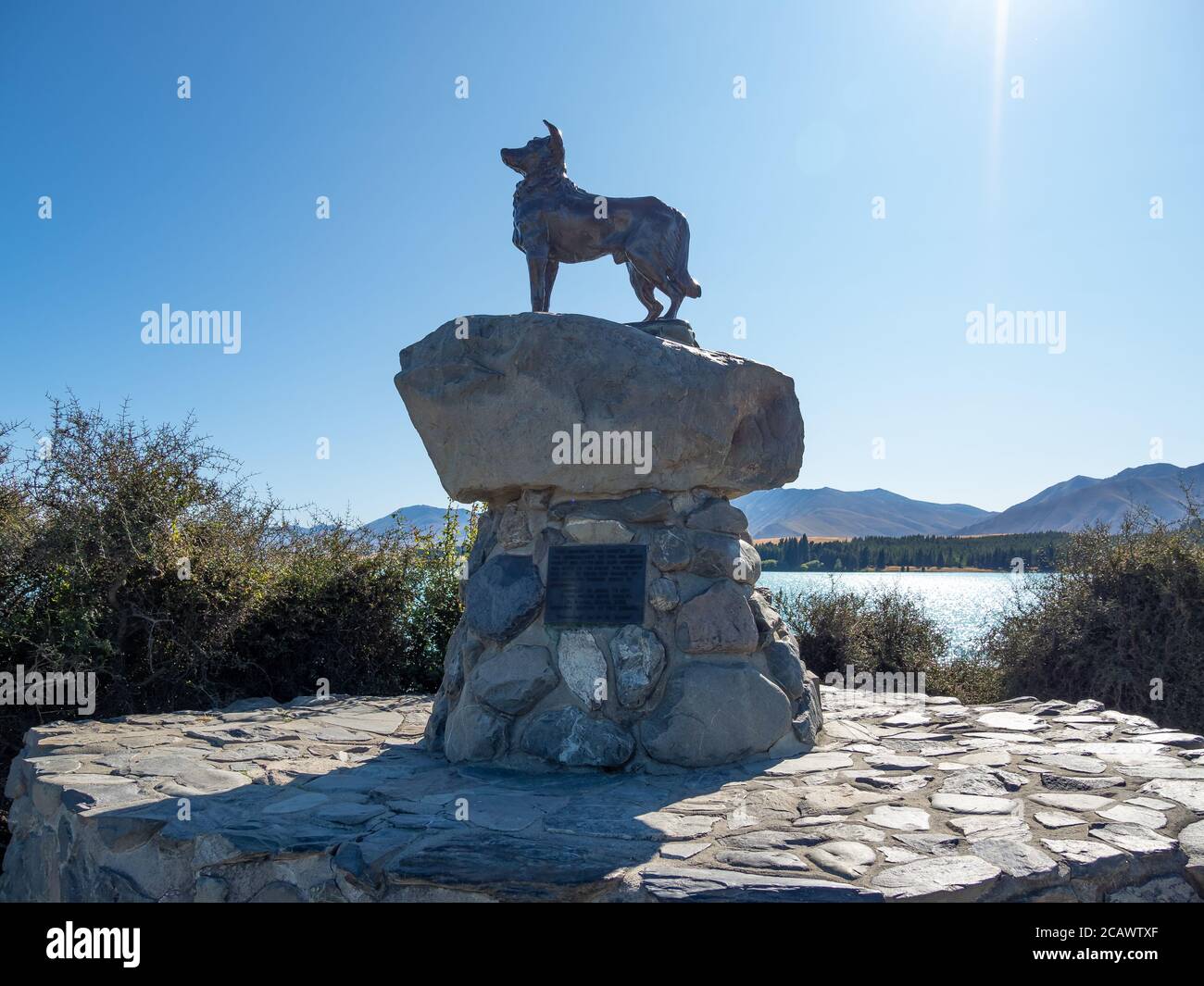 Tekapo, New Zealand - Feb 11, 2020: The sheepdog memorial is a well known bronze statue of a New Zealand Collie sheepdog close to the Church of the Go Stock Photo