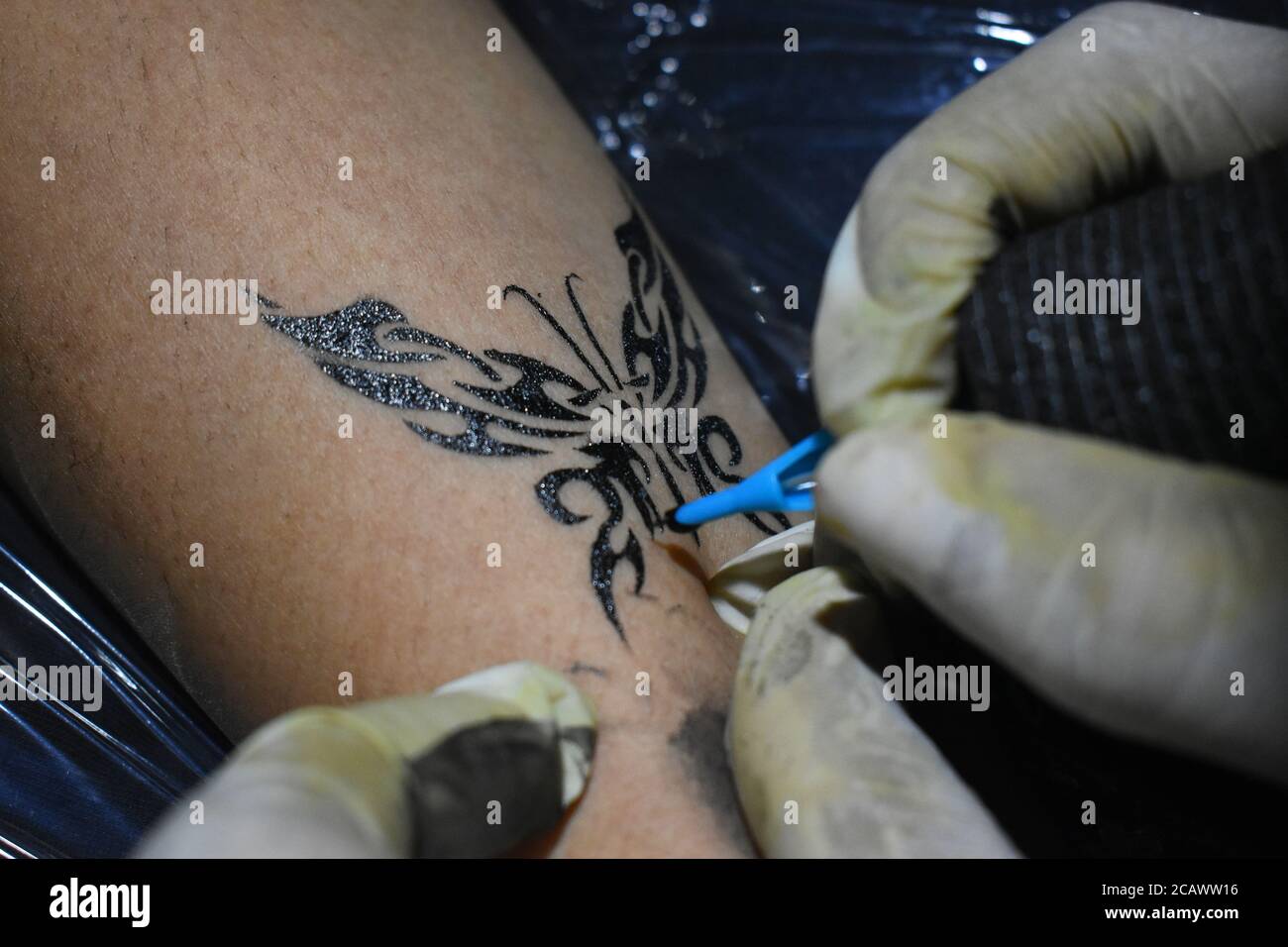 Choose The Best Tattoo Studio in Kolkata - Lizard's Skin Tattoos