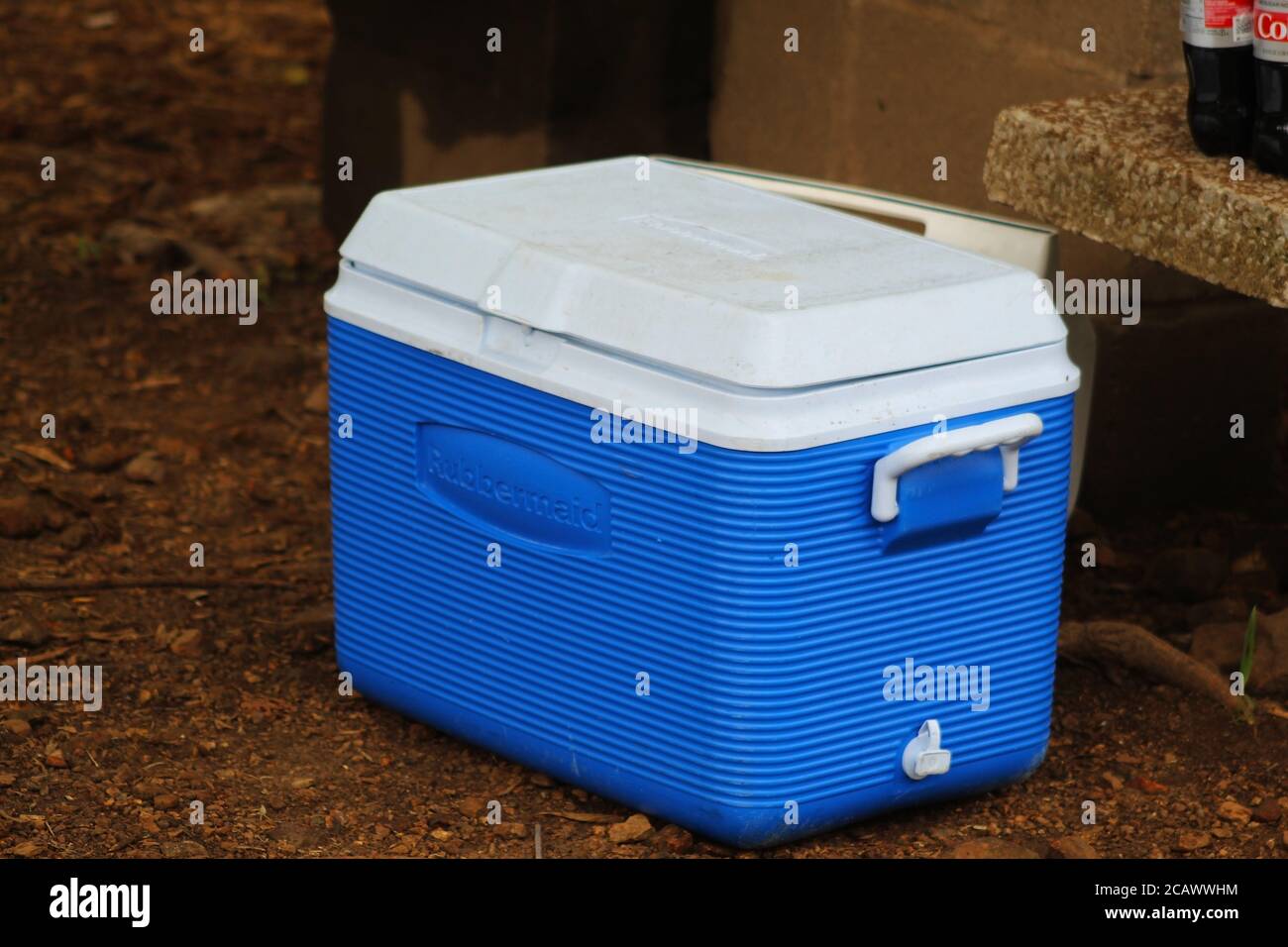 Rubbermaid Cooler at Campsite, Disney Oklahoma Stock Photo Alamy