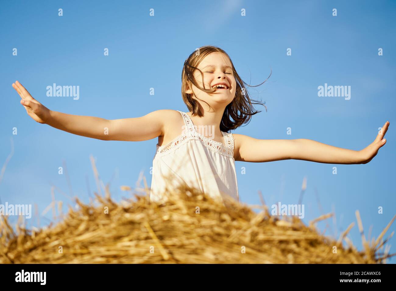 cute little girl sits on mown rye in the field  Stock Photo