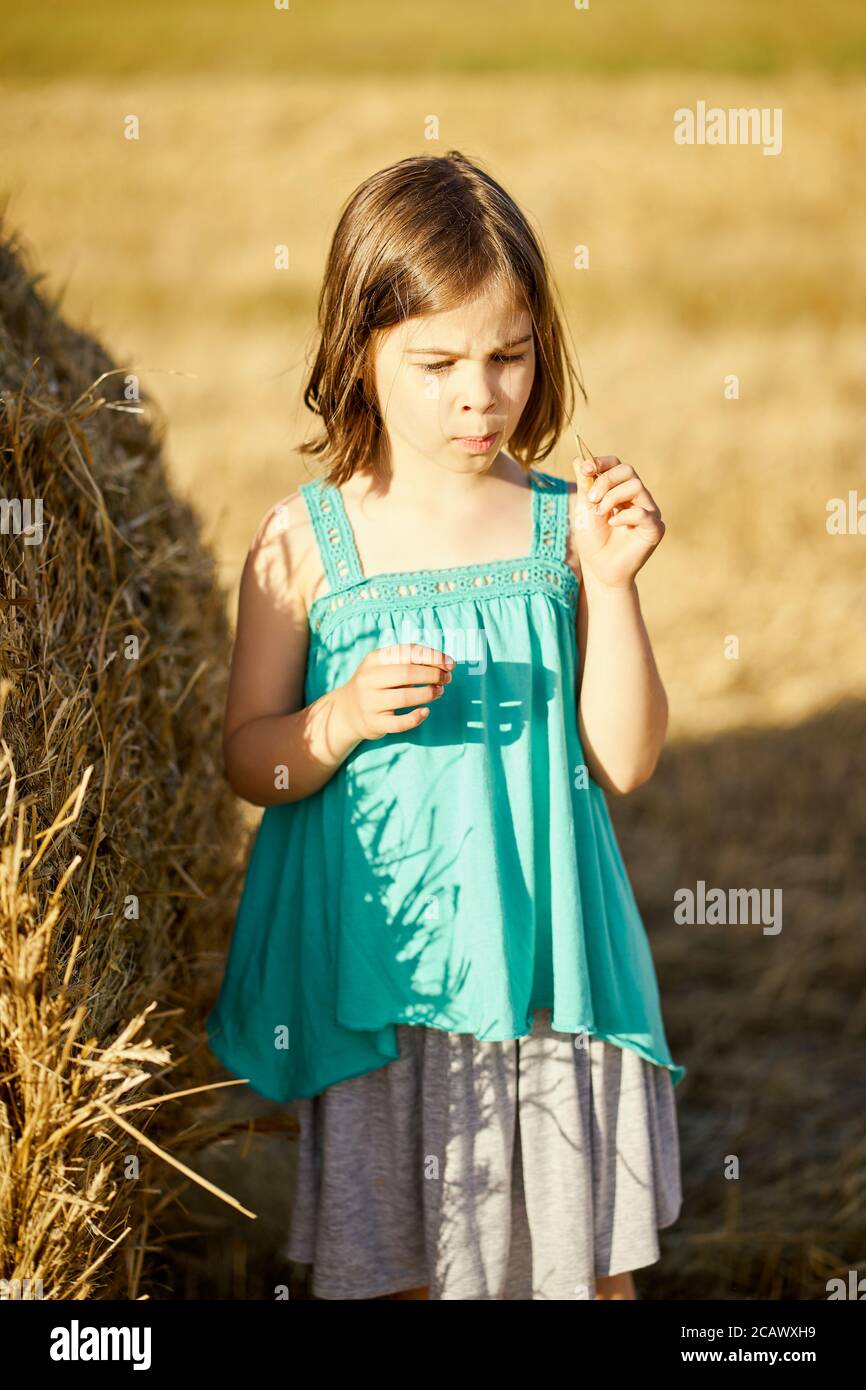 cute little girl sits on mown rye in the field Stock Photo - Alamy