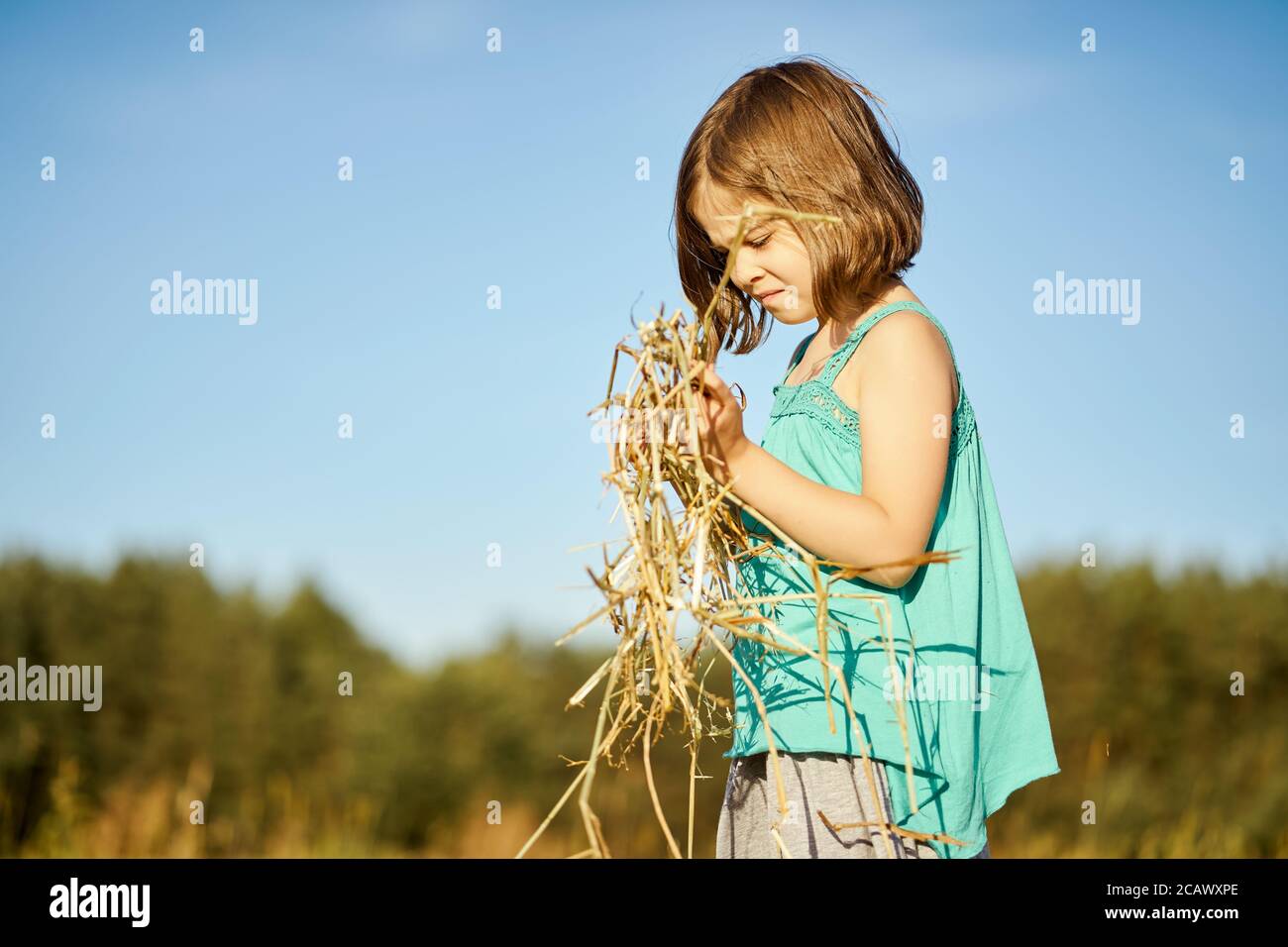 cute little girl sits on mown rye in the field Stock Photo - Alamy