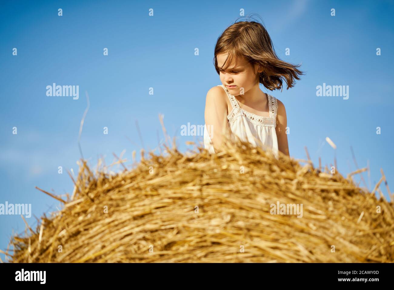 cute little girl sits on mown rye in the field Stock Photo - Alamy