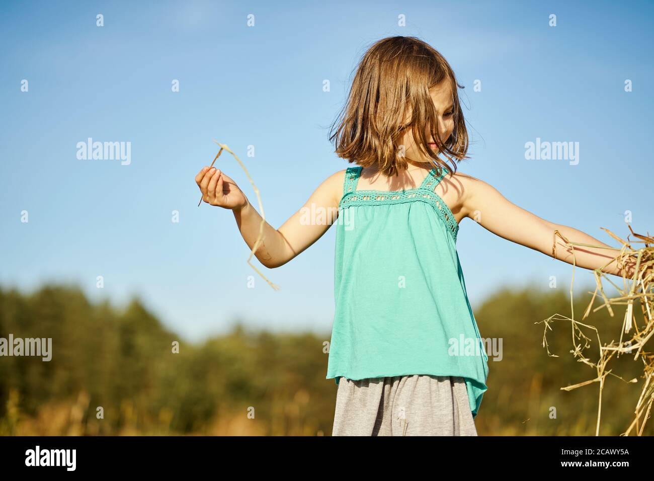 cute little girl sits on mown rye in the field Stock Photo - Alamy