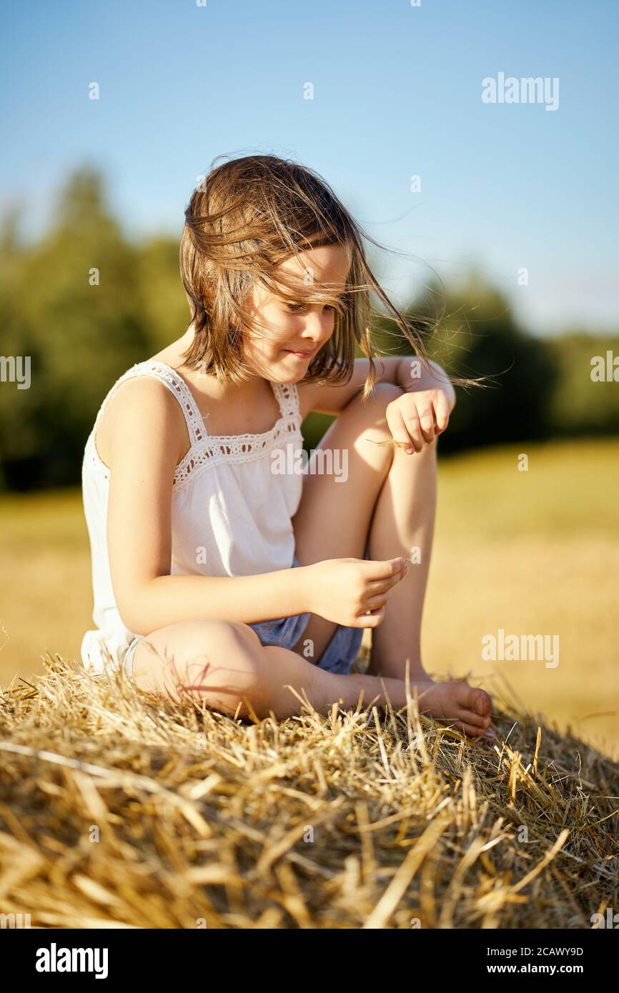 cute little girl sits on mown rye in the field  Stock Photo