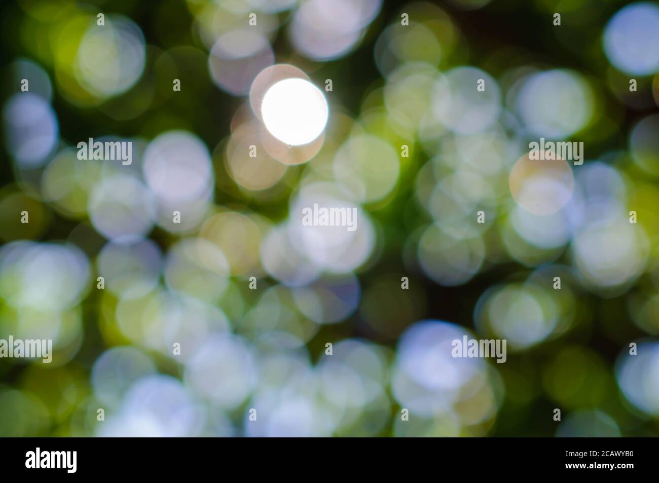 Beautiful blurred natural green bokeh background with bright soft light  Stock Photo - Alamy