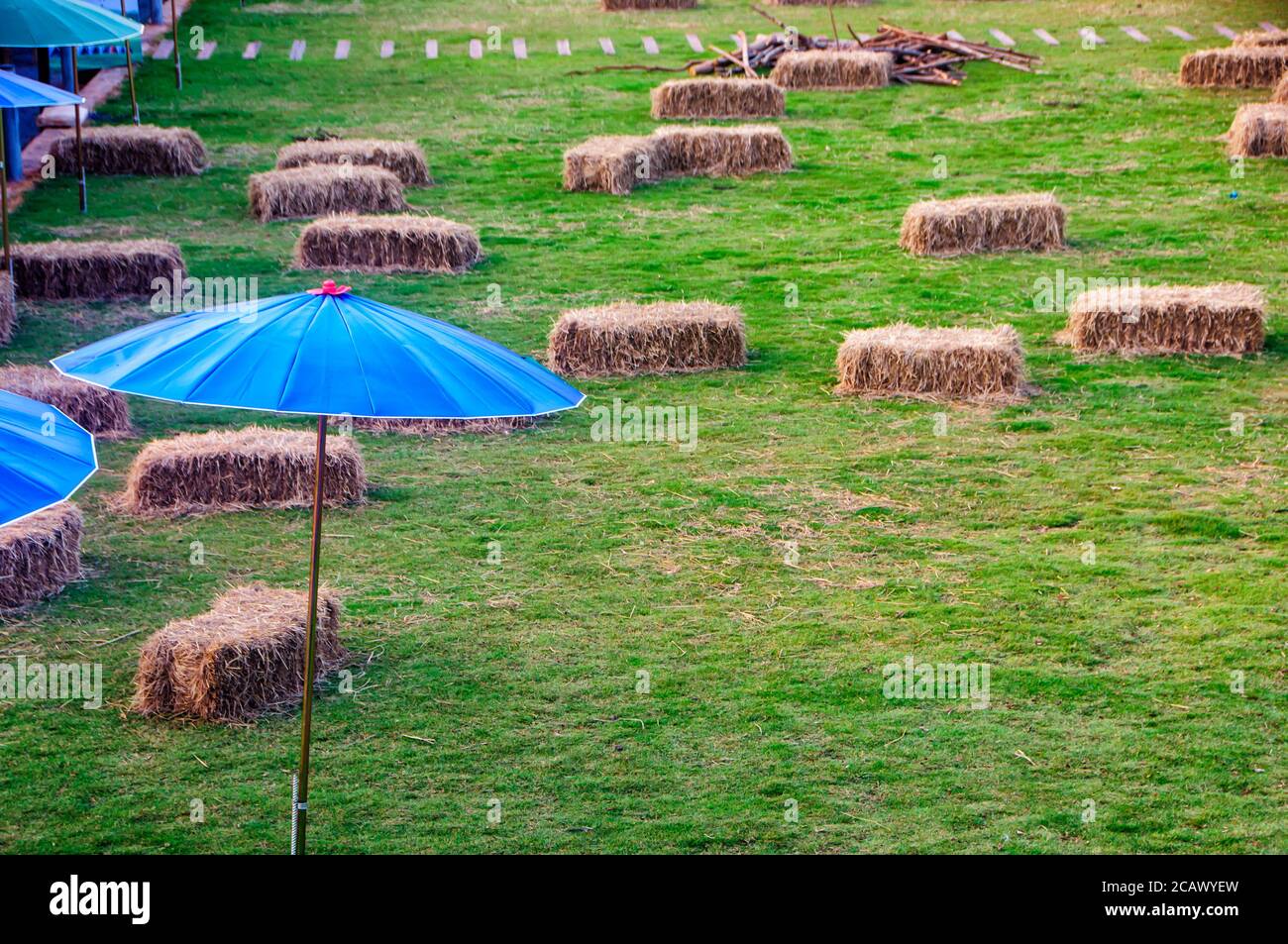 Blue parasol umrella on green grass field with haystack in the lawn yard garden. Stock Photo