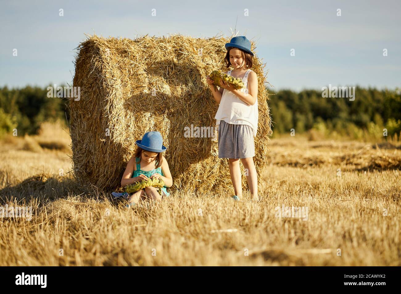 two charming girls are eating sunflower seeds on mown rye in the field Stock Photo