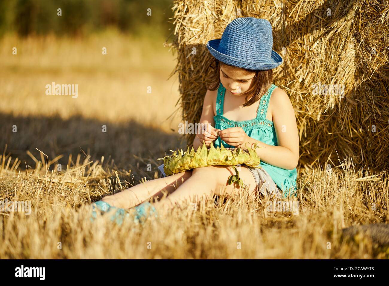 adorable girl eating sunflower seeds on mown rye in the field Stock Photo