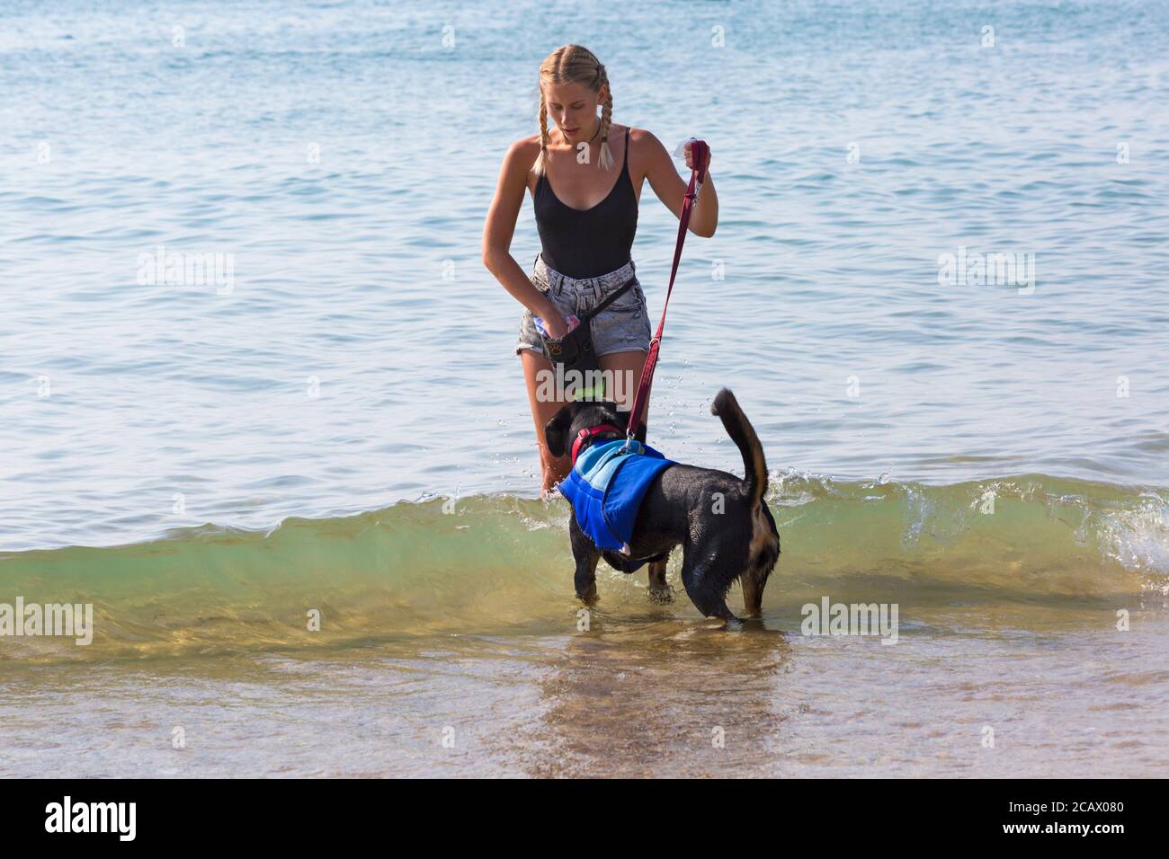 Young woman with Swiss Mountain dog in the sea at Branksome Dene Chine, Poole, Dorset, UK on hot sunny day in August Stock Photo