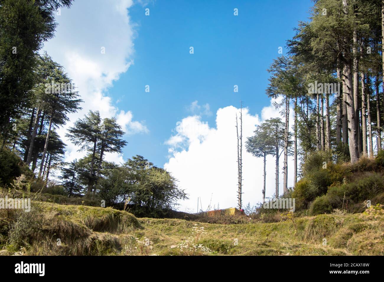 A Popular Indian hill station destination - Patnitop, jammu Stock Photo