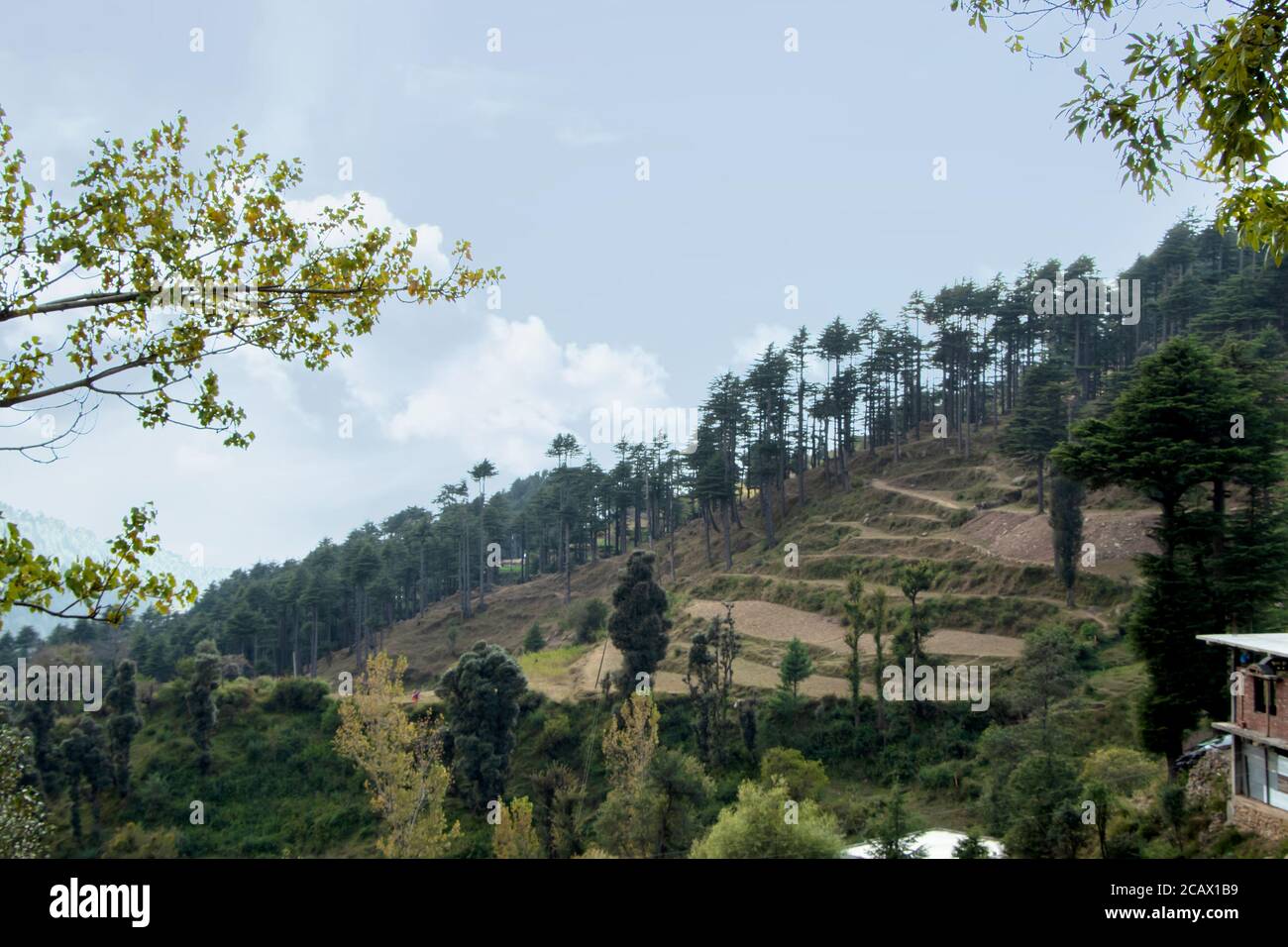 A Popular Indian hill station destination - Patnitop, jammu Stock Photo