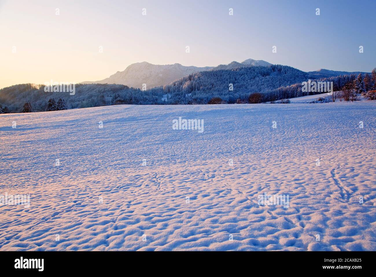 geography / travel, Germany, Bavaria, Grossweil, winter landscape, Grossweil, Herzogstand (peak), Werd, Additional-Rights-Clearance-Info-Not-Available Stock Photo