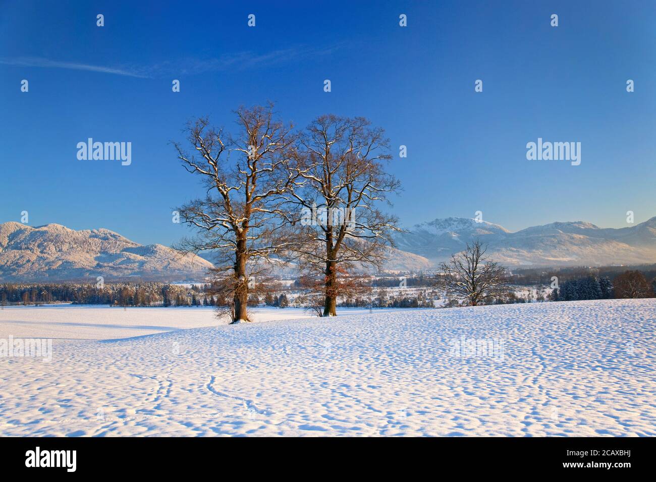 geography / travel, Germany, Bavaria, Penzberg, winter near Penzberg, Upper Bavaria, Bavarian pre-Alps, Additional-Rights-Clearance-Info-Not-Available Stock Photo